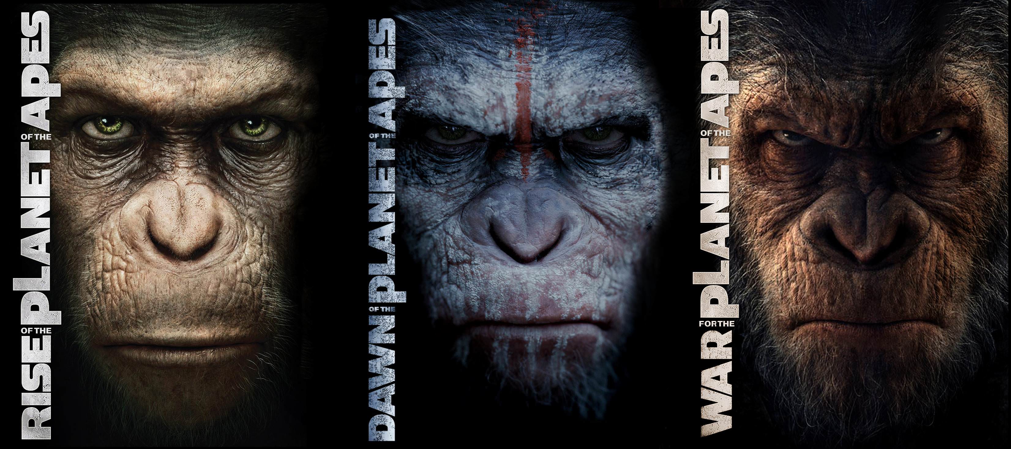 kingdom of the planet of the apes